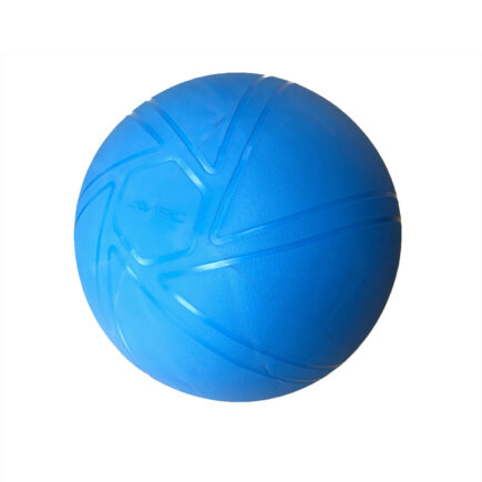 ballon gym-ballon-yoga-bleu