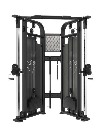 Functional Trainer Professional V6820