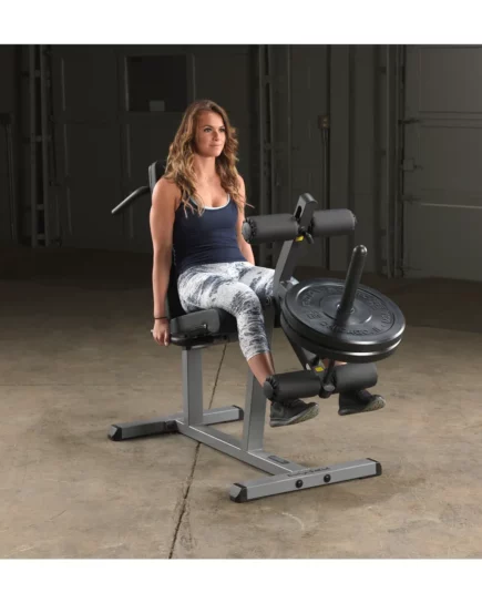 Seated Leg Extension – Leg Curl Body Solid GLCE365