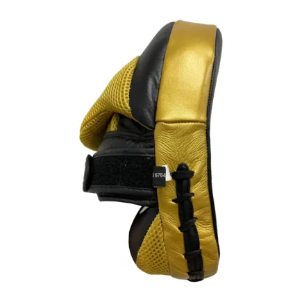 Side view handpad gold collor